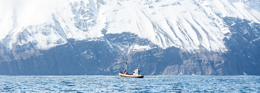 Bot penyelidik di perairan Antartika dengan latar belakang gunung bersalji