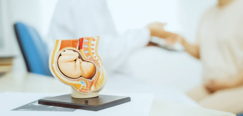 After a diagnosis of placenta previa, an obstetrician advises to avoid intercourse or strenuous activity